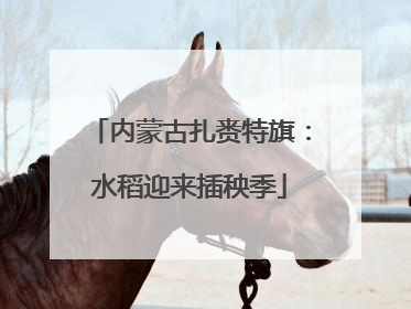 内蒙古扎赉特旗：水稻迎来插秧季