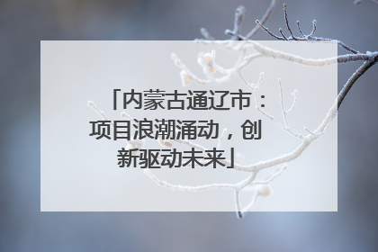 内蒙古通辽市：项目浪潮涌动，创新驱动未来