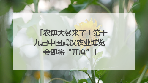 农博大餐来了！第十九届中国武汉农业博览会即将“开席”