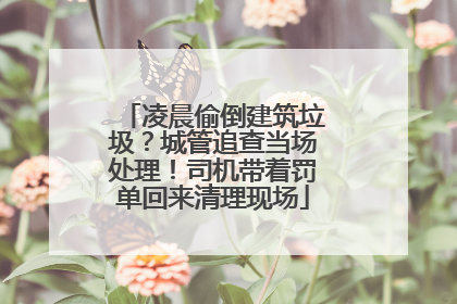 凌晨偷倒建筑垃圾？城管追查当场处理！司机带着罚单回来清理现场