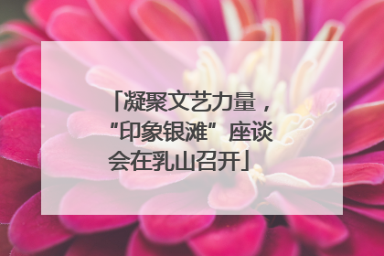 凝聚文艺力量，“印象银滩”座谈会在乳山召开