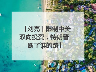 刘亮｜限制中美双向投资，特朗普断了谁的路