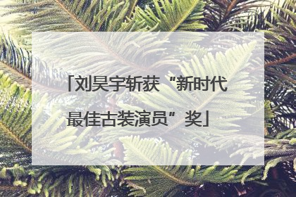 刘昊宇斩获“新时代最佳古装演员”奖
