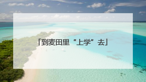 到麦田里“上学”去