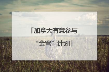 加拿大有意参与“金穹”计划