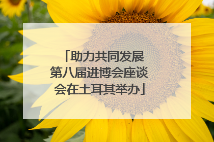 助力共同发展 第八届进博会座谈会在土耳其举办