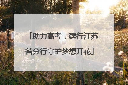 助力高考，建行江苏省分行守护梦想开花