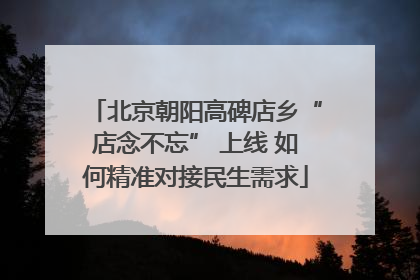 北京朝阳高碑店乡“店念不忘” 上线 如何精准对接民生需求