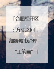 合肥经开区：方寸之间，细绘城市治理“工笔画”