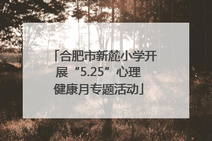 合肥市新麓小学开展“5.25”心理健康月专题活动