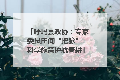 呼玛县政协：专家委员田间“把脉” 科学施策护航春耕