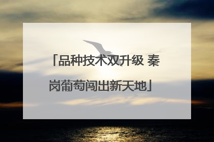 品种技术双升级 秦岗葡萄闯出新天地