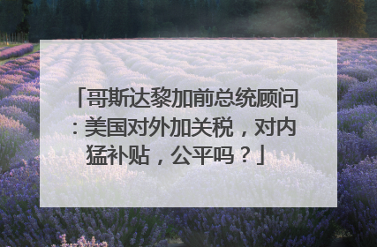 哥斯达黎加前总统顾问：美国对外加关税，对内猛补贴，公平吗？