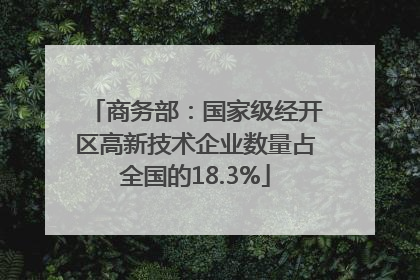 商务部：国家级经开区高新技术企业数量占全国的18.3%