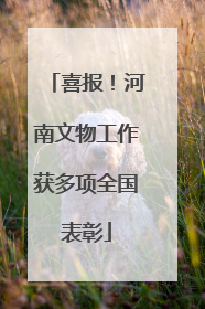 喜报！河南文物工作获多项全国表彰