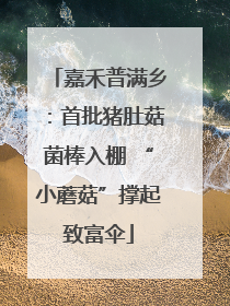 嘉禾普满乡：首批猪肚菇菌棒入棚 “小蘑菇”撑起致富伞