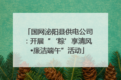 国网泌阳县供电公司：开展“‘粽’享清风 •廉洁端午”活动