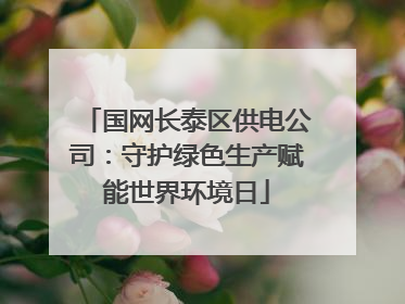 国网长泰区供电公司：守护绿色生产赋能世界环境日