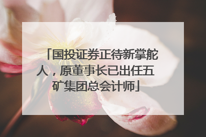 国投证券正待新掌舵人，原董事长已出任五矿集团总会计师