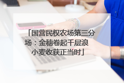 国营民权农场第三分场：金穗卷起千层浪 小麦收获正当时
