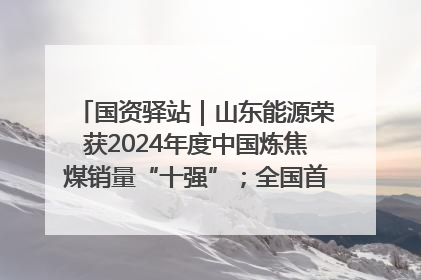 国资驿站｜山东能源荣获2024年度中国炼焦煤销量“十强”；全国首例铁路盖上智慧物流园钢结构主体完工