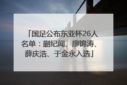 国足公布东亚杯26人名单：蒯纪闻、廖锦涛、薛庆浩、于金永入选