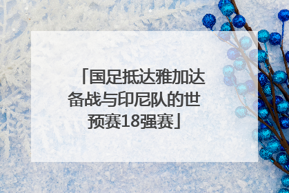 国足抵达雅加达备战与印尼队的世预赛18强赛
