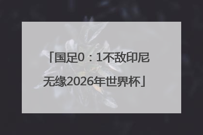 国足0：1不敌印尼 无缘2026年世界杯