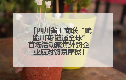 四川省工商联“赋能川商·链通全球”首场活动聚焦外贸企业应对贸易摩擦