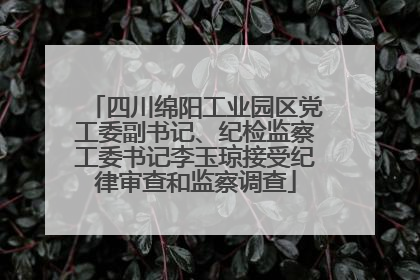 四川绵阳工业园区党工委副书记、纪检监察工委书记李玉琼接受纪律审查和监察调查