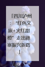 四川泸州：“红色文旅+火红甜橙”走出彝寨振兴新路