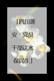 四川蓬安：党员干部送水保民生