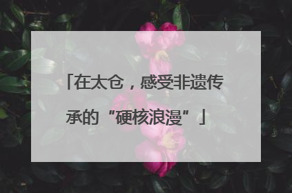 在太仓，感受非遗传承的“硬核浪漫”