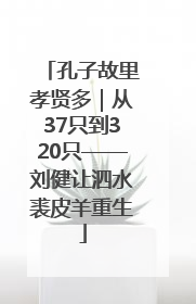 孔子故里孝贤多｜从37只到320只——刘健让泗水裘皮羊重生