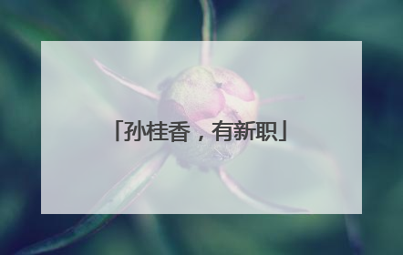 孙桂香，有新职