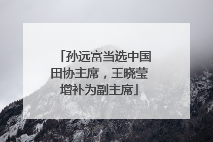 孙远富当选中国田协主席，王晓莹增补为副主席
