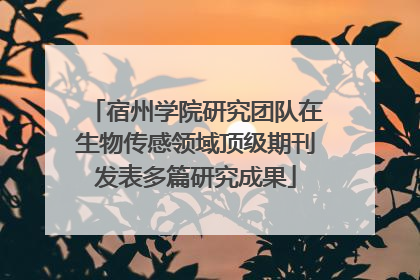 宿州学院研究团队在生物传感领域顶级期刊发表多篇研究成果