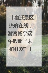 宿迁景区热度在线，游客畅享端午假期“末梢狂欢”