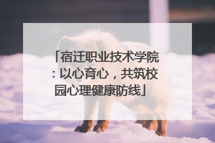 宿迁职业技术学院：以心育心，共筑校园心理健康防线