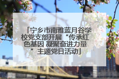 宁乡市南雅蓝月谷学校党支部开展“传承红色基因 凝聚奋进力量”主题党日活动