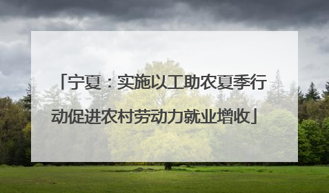 宁夏：实施以工助农夏季行动促进农村劳动力就业增收
