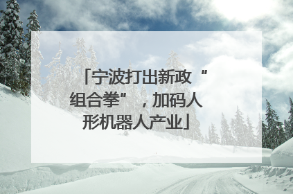 宁波打出新政“组合拳”，加码人形机器人产业