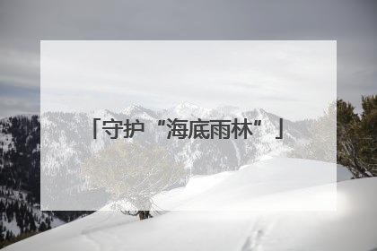 守护“海底雨林”