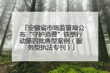 安徽省市场监管局公布“守护消费”铁拳行动第四批典型案例（服务型执法专刊）