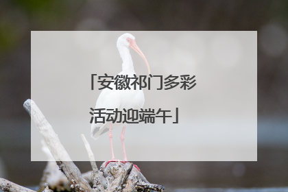 安徽祁门多彩活动迎端午