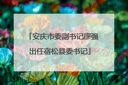 安庆市委副书记廖强出任宿松县委书记