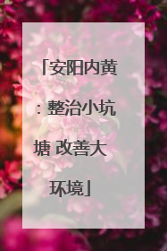 安阳内黄：整治小坑塘 改善大环境