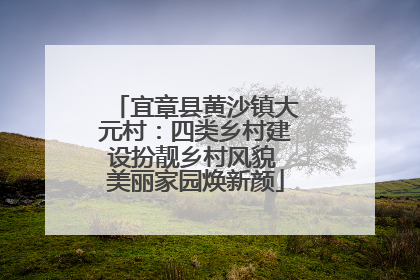 宜章县黄沙镇大元村：四类乡村建设扮靓乡村风貌 美丽家园焕新颜