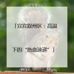 宜宾叙州区：高温下的“热血速递”