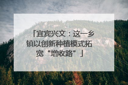 宜宾兴文：这一乡镇以创新种植模式拓宽“增收路”